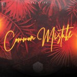 cover: Levantine - Common Mistake