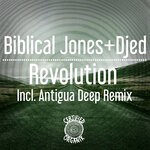 cover: Biblical Jones|Djed - Revolution