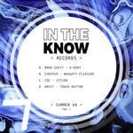 cover: Brad Guest|Chopper|Hrvst|Cqc - In The Know Records VA Summer 2021 Part 2