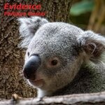 cover: Philippe Gastel - Evidence