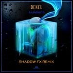 cover: Dekel - Raindrop (Shadow Fx Remix)