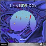 cover: Various - V/A LiquiDNAtion EP Vol 6