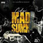 cover: Cidigi - Mad Sumn