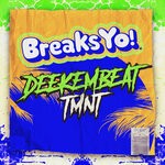 cover: Deekembeat - TMNT