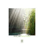 cover: Acid_lab - Rainy Fridays