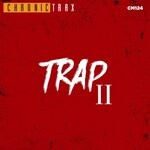 cover: Various - Trap 2