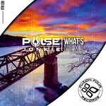 cover: Pulse Junkie - What's Next