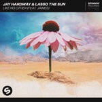 cover: Jaimes|Jay Hardway|Lasso The Sun - Like No Other