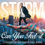 cover: Storm - Can You Feel It (StoneBridge & Damien Hall Remix)