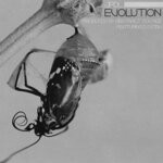 cover: Abstract Soundz|Dj Stav|Jpdl - Evolution