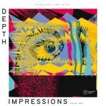 cover: Various - Depth Impressions Issue #21