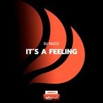 cover: Dj Nuck - It's A Feeling