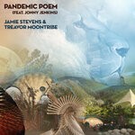 cover: Jamie Stevens|Jonny Jenkins - Pandemic Poem