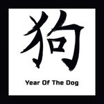 cover: Kokopop Project - Year Of The Dog