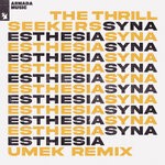 cover: The Thrillseekers - Synaesthesia (UMEK Extended Remix)