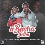 cover: Dj Shabir|King Monopoly|Master Tumi - UBusha Bethu