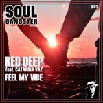 cover: Catarina Vaz|Red Deep - Feel My Vibe