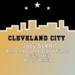 cover: Joey Slvr - Remember The Good Times