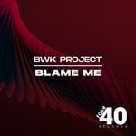 cover: Bwk Project - Blame Me