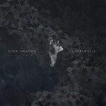 cover: Slow Meadow - Lachrymosia