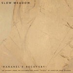 cover: Slow Meadow - Hananel's Recovery