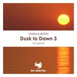 cover: Various - Dusk To Dawn 3