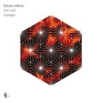 cover: Future Culture - Hot Rock