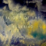 cover: Crystin|Absence Of Doubt - Flight Of The Bluebird