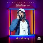 cover: Mr Merry - Ballerina