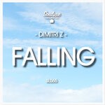 cover: Dimitri Z - Falling