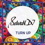 cover: Selivan.dj - Turn UP