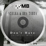 cover: Bra Tebza|Stelka - Don't Hate