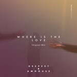 cover: Amhouse|Deepest - Where Is The Love