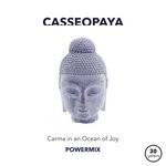 cover: Casseopaya - Carma In An Ocean Of Joy (Powermix)