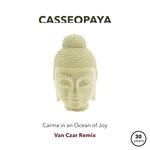 cover: Casseopaya - Carma In An Ocean Of Joy (Van Czar Remix)