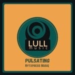 cover: Nytxpress Musiq - Pulsating