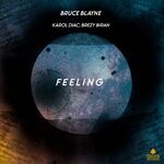 cover: Brezy Biran|Bruce Blayne|Karol Diac - Feeling