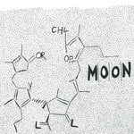 cover: M|o|o|n - Chlorophyll