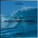 cover: Tebu.sonic - Aquaman (Tribute To De'KeaY)