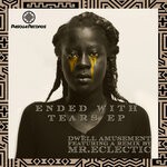 cover: Dwell Amusement - Ended With Tears