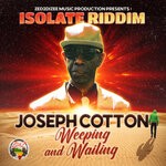 cover: Joseph Cotton - Isolate (Riddim)