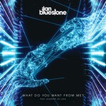 cover: Ilan Bluestone - What Do You Want From Me?