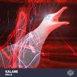 cover: Kalane - Gulls