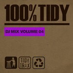 cover: Various - 100% Tidy, Vol 4