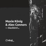 cover: Alex Connors|Maxie Konig - Blackbird EP