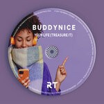 cover: Buddynice - Your Life (Treasure It)