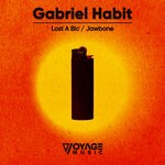 cover: Gabriel Habit - Lost A Bic