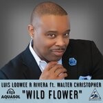 cover: Luis Loowee R Rivera|Walter Christopher - Wild Flower