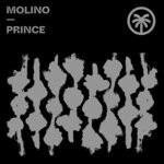 cover: Molino - Prince