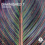 cover: Diminished 7 - Hurango (Original Mix)